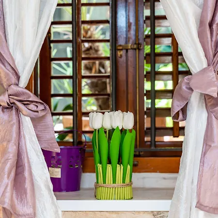 Plaza Apartman Dubrovnik